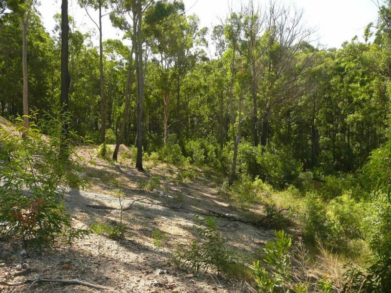 Upper Coomera QLD 4209