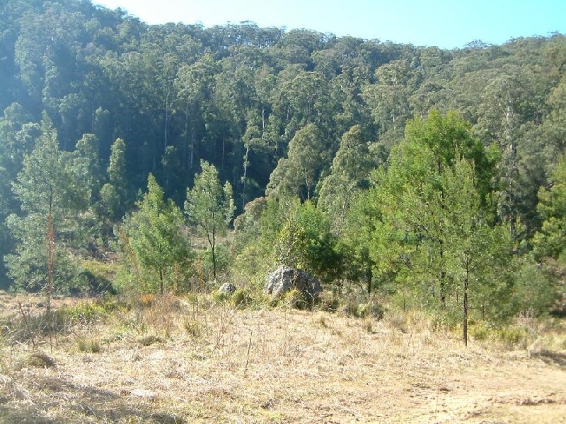 Putty Valley Road, Putty NSW 2330