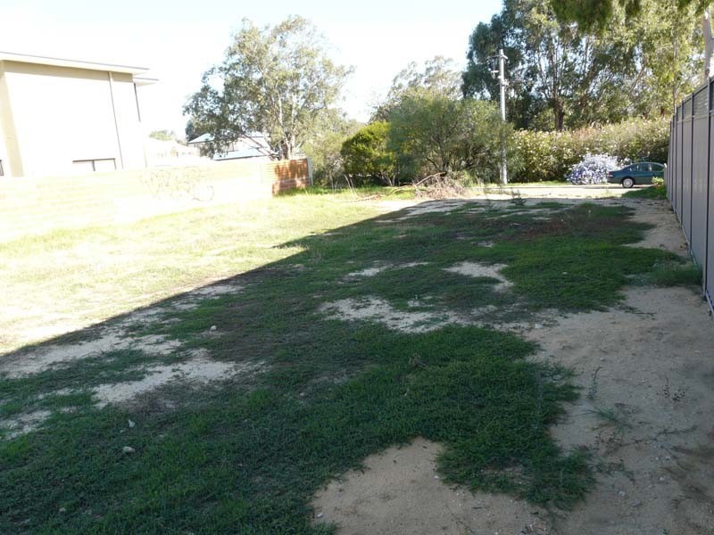 5 Locock Street, Ascot WA 6104