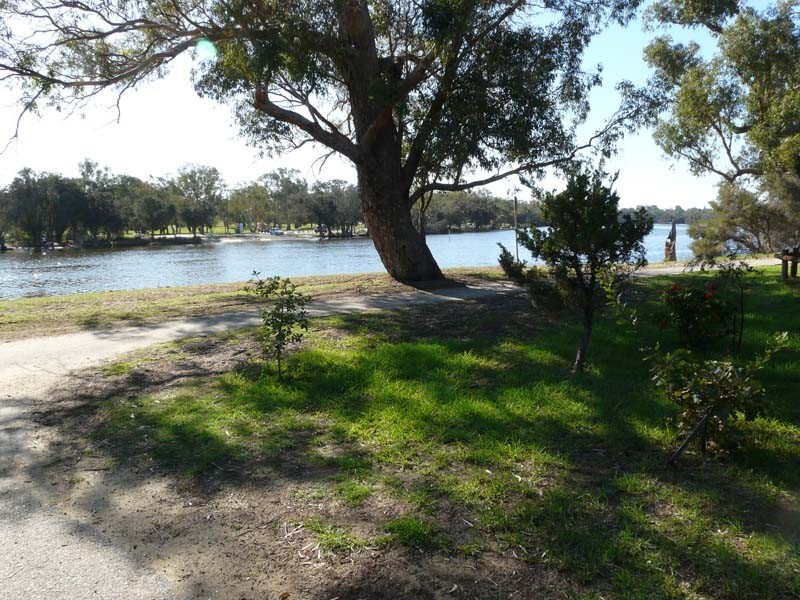 5 Locock Street, Ascot WA 6104