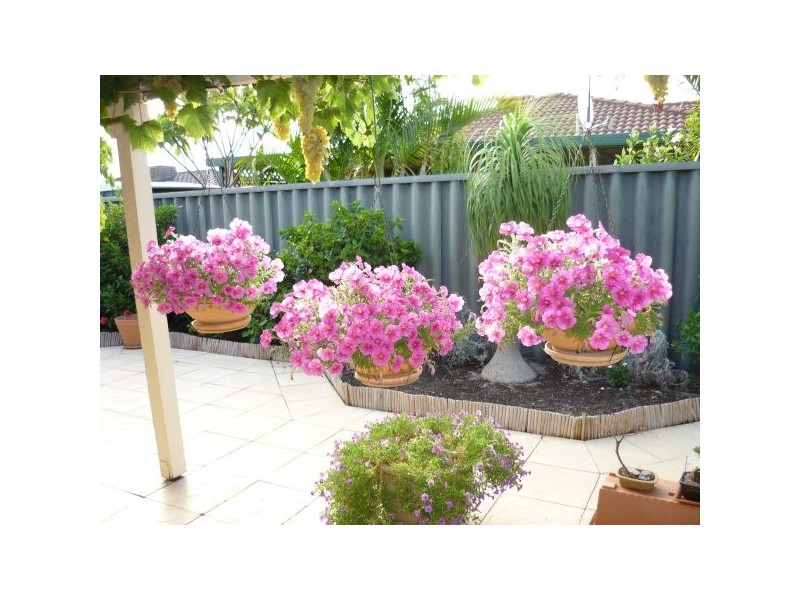 18 Towncentre Drive, Thornlie WA 6108