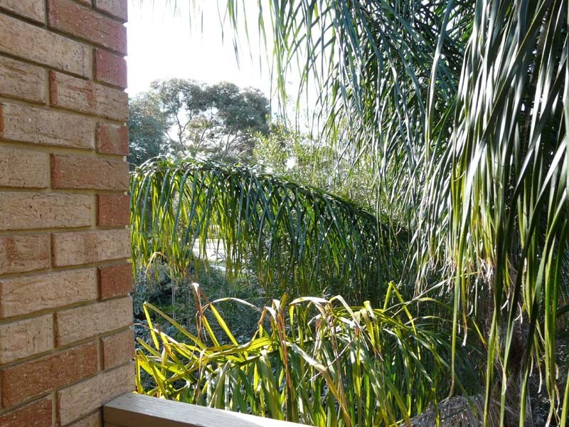 18/2 Mitchell Street, Bentley WA 6102