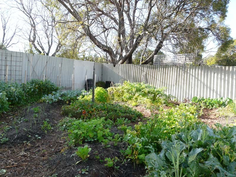 14 Derbal Street, Medina WA 6167