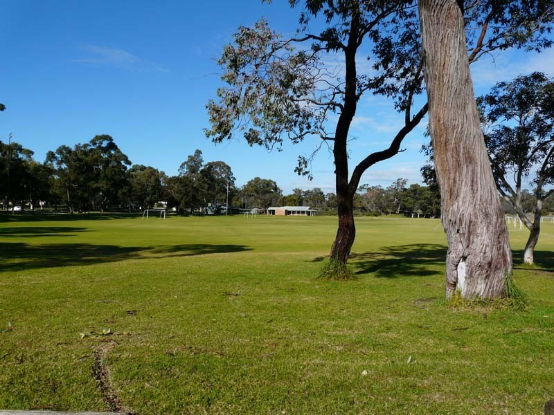 14 Derbal Street, Medina WA 6167