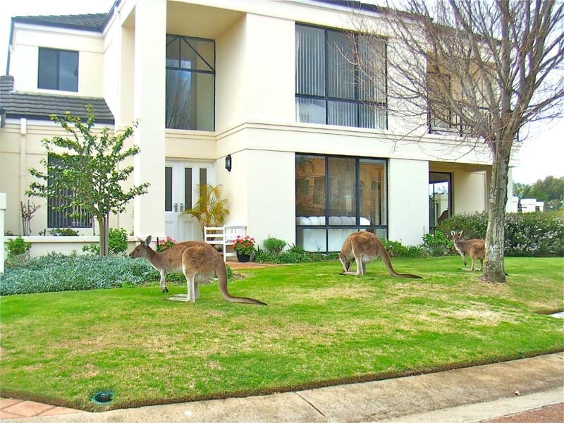 13 Bollinger Close, The Vines WA 6069