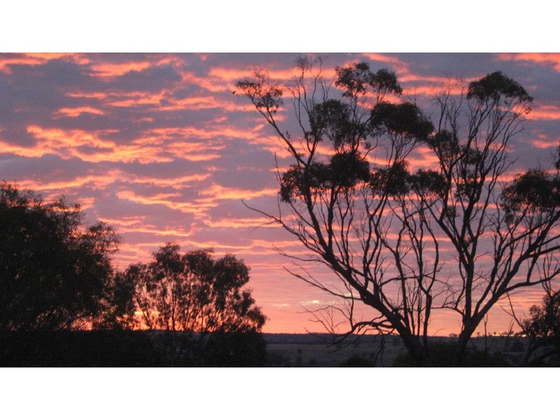 Toodyay WA 6566