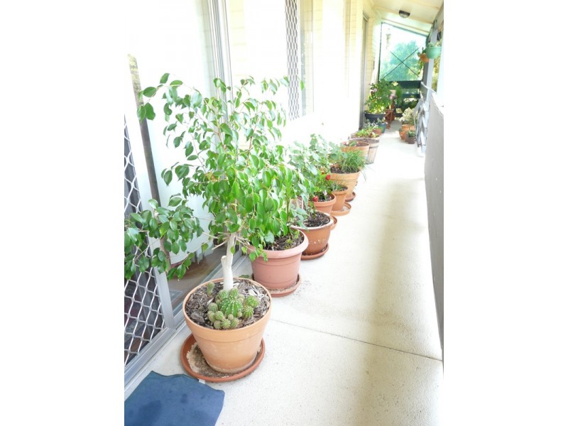 40/19 Blackwood Ave, Hamilton Hill WA 6163