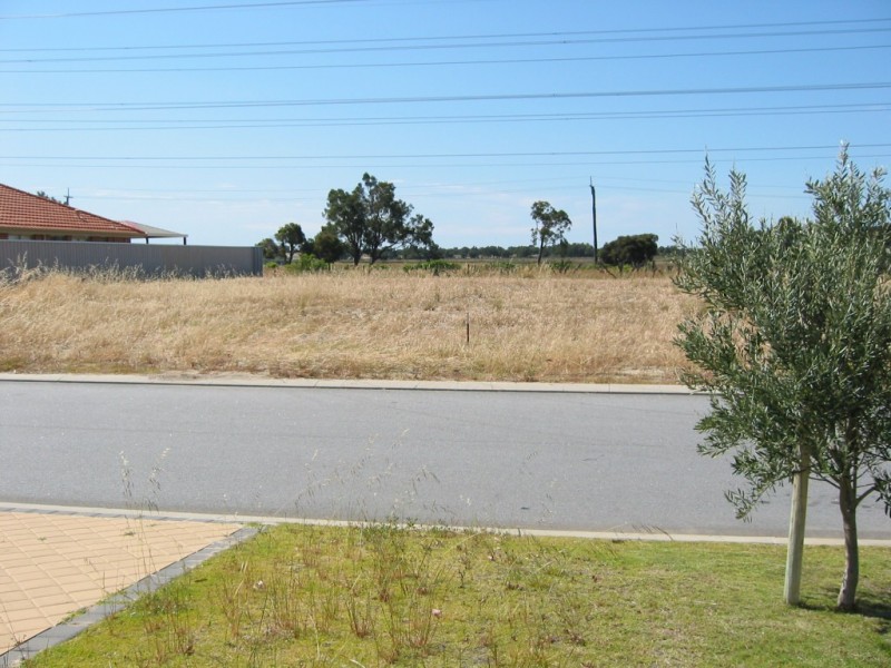 24a Wintergreene Drive, Beechboro WA 6063