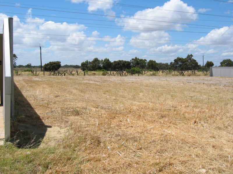 24a Wintergreene Drive, Beechboro WA 6063