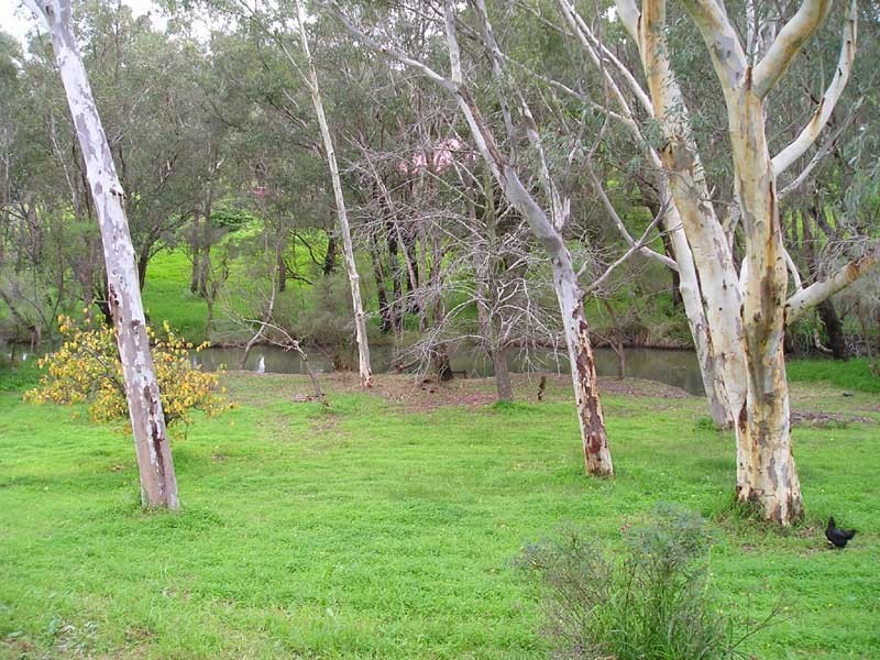 36 Scott Road, Kelmscott WA 6111