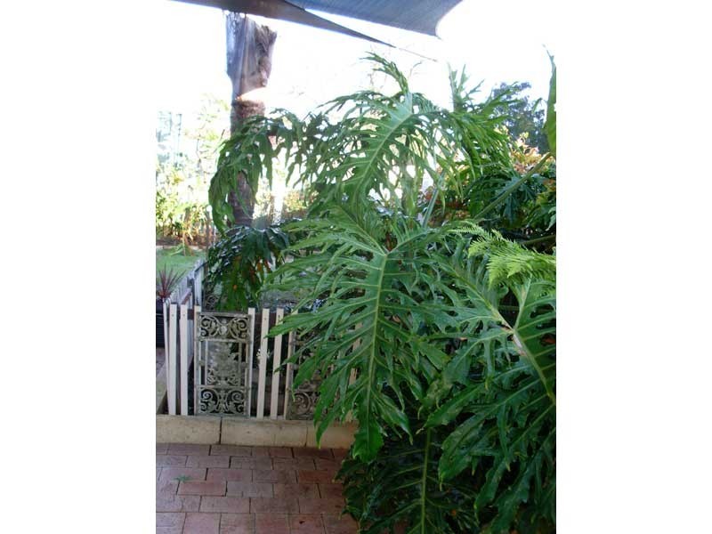 39 Coldstream Street, West Leederville WA 6007