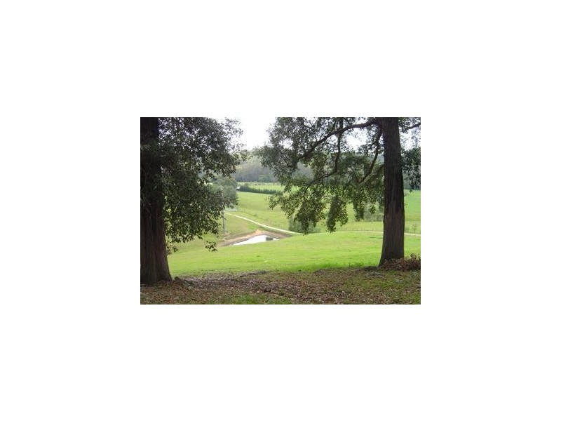 151 Martin Ridge Road, Conjola NSW 2539