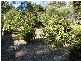 Valley Heights NSW 2777
