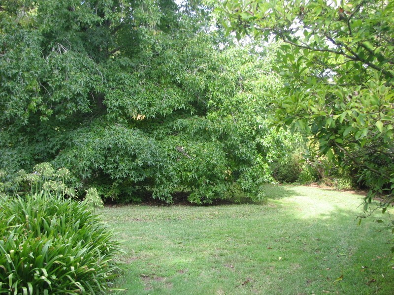 Winmalee NSW 2777