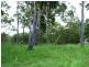 Maroochy River QLD 4561
