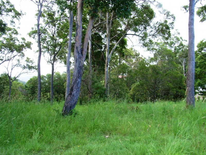Maroochy River QLD 4561