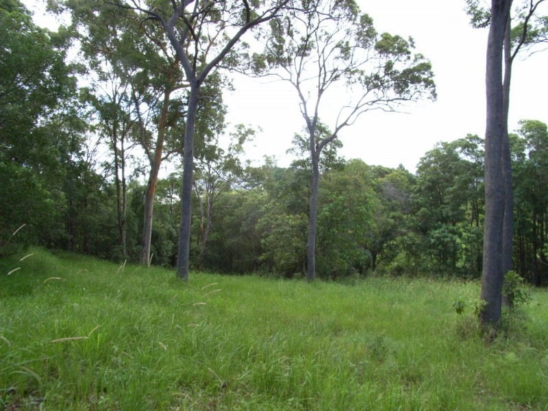 Maroochy River QLD 4561