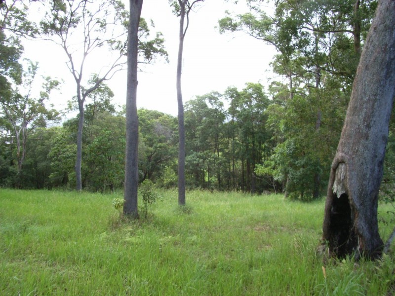 Maroochy River QLD 4561