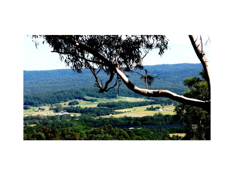 36 Honeydew Place, Ninderry QLD 4561