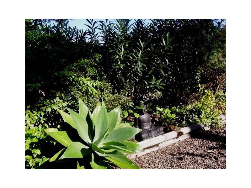 36 Honeydew Place, Ninderry QLD 4561