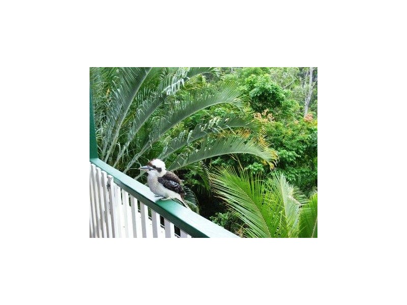 Chants Road, Valdora QLD 4561