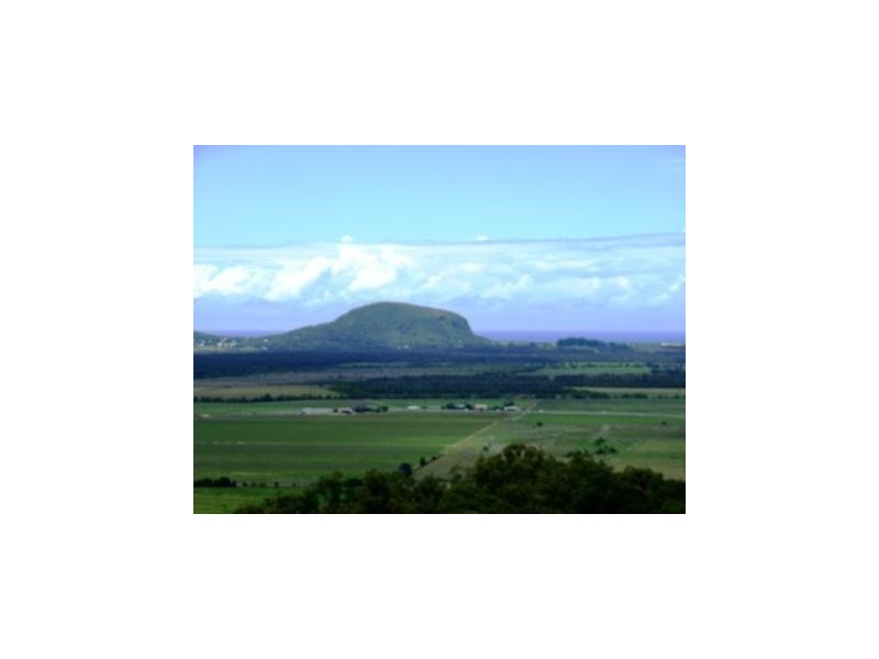 Maroochy River QLD 4561