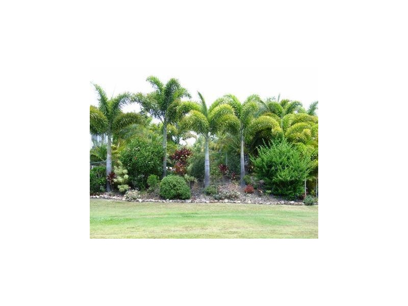 Maroochy River QLD 4561