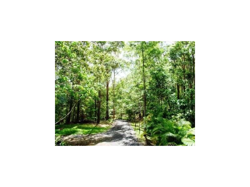 101 Collins Road,, Yandina QLD 4561