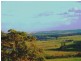 Maroochy River QLD 4561