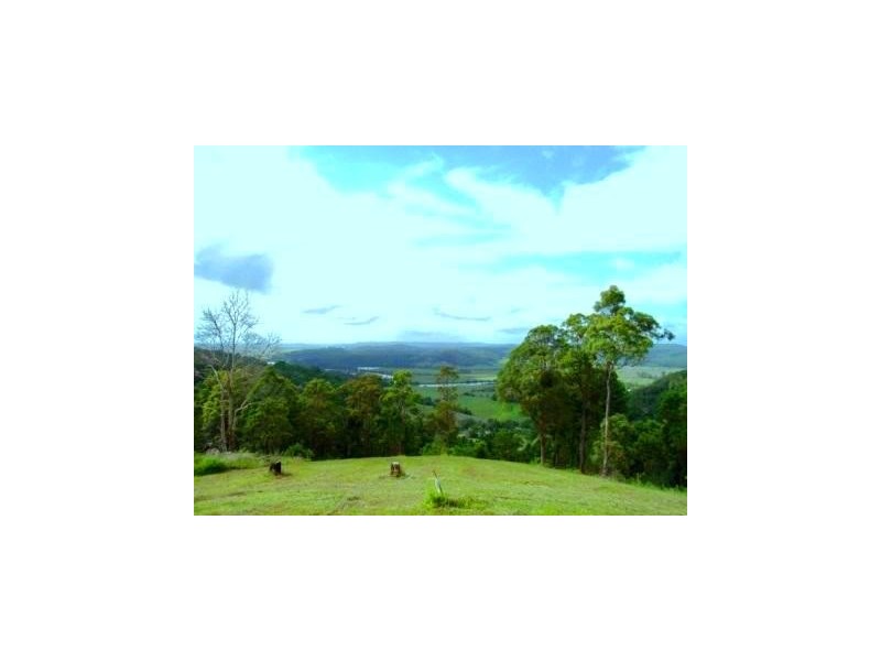 Maroochy River QLD 4561
