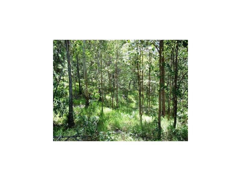 Valdora QLD 4561