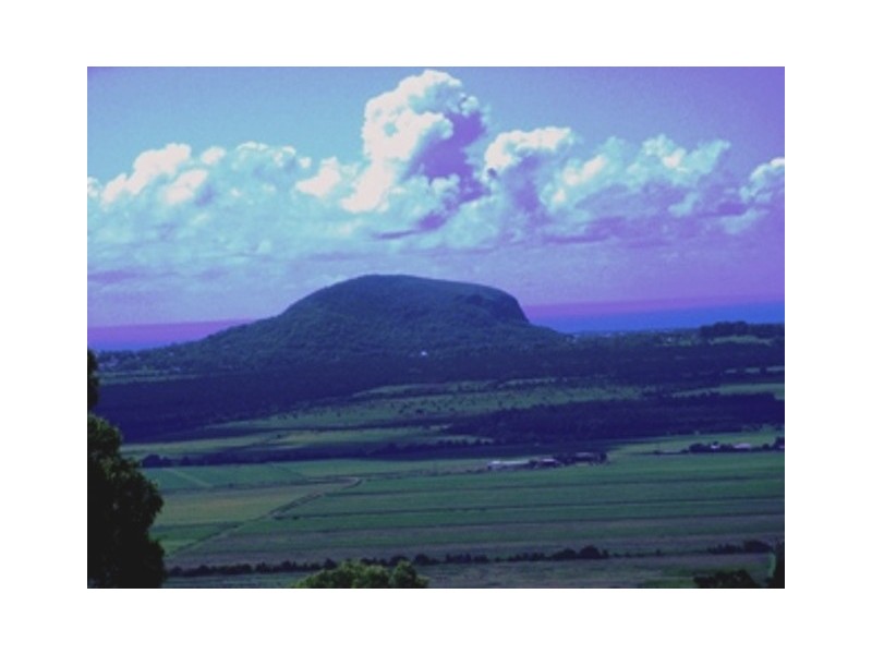 Maroochy River QLD 4561