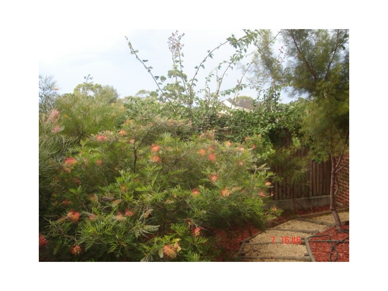 00/00 Chandos street, Crows Nest NSW 2065