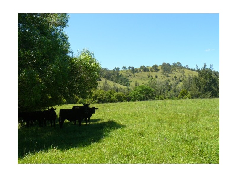 00/00 Wallanbah Road, Bucca Wauka NSW 2429