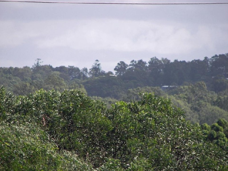 Alexandra Headland QLD 4572