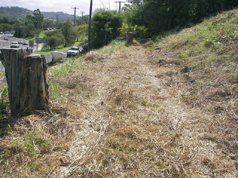 Alexandra Headland QLD 4572