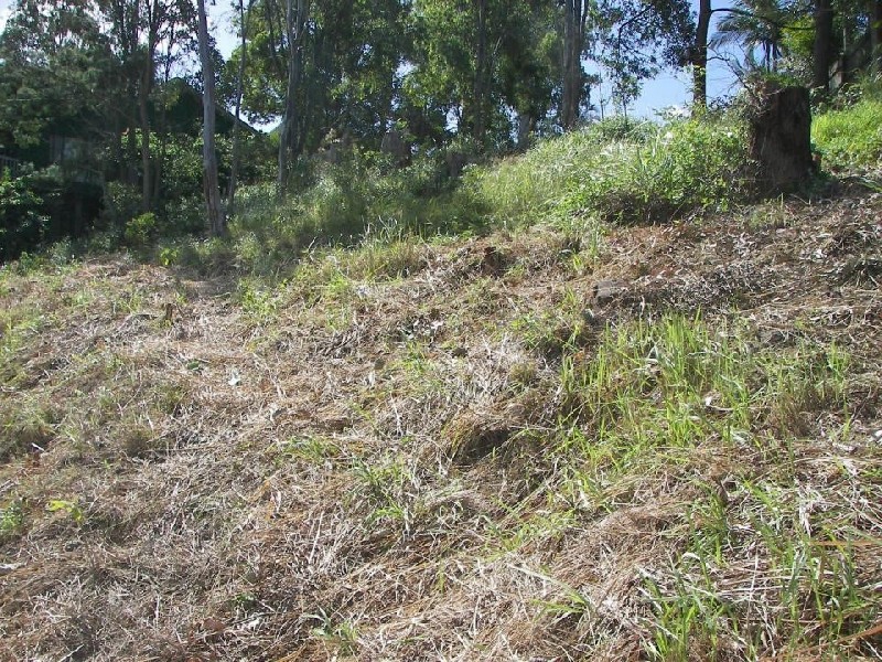 Alexandra Headland QLD 4572