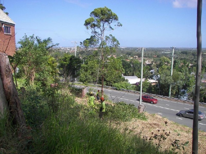 Alexandra Headland QLD 4572