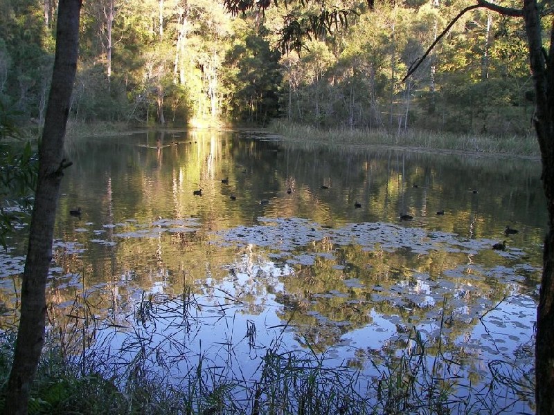 Forest Glen QLD 4556