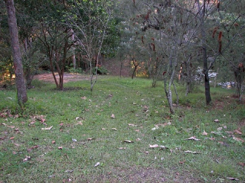 Forest Glen QLD 4556