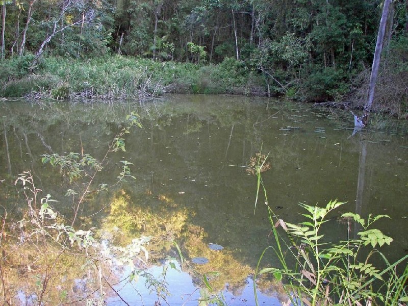 Forest Glen QLD 4556