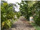 Noosaville QLD 4566