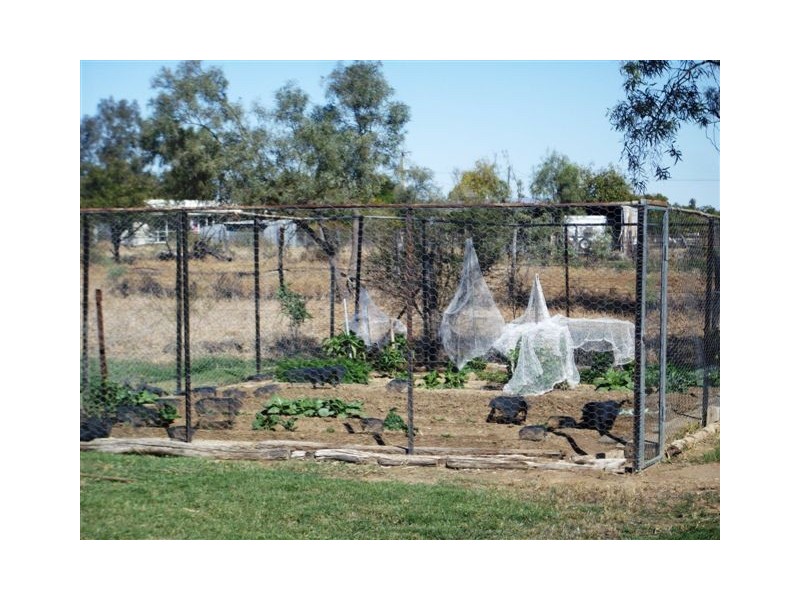 36 Porter Street, Aramac QLD 4726