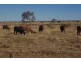 Barcaldine QLD 4725