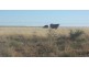 Barcaldine QLD 4725