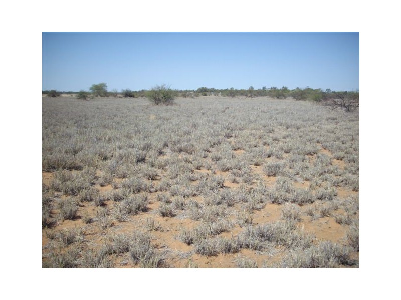 000 Oak Street, Barcaldine QLD 4725