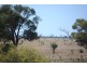 000 Landsborough Hwy, Barcaldine QLD 4725
