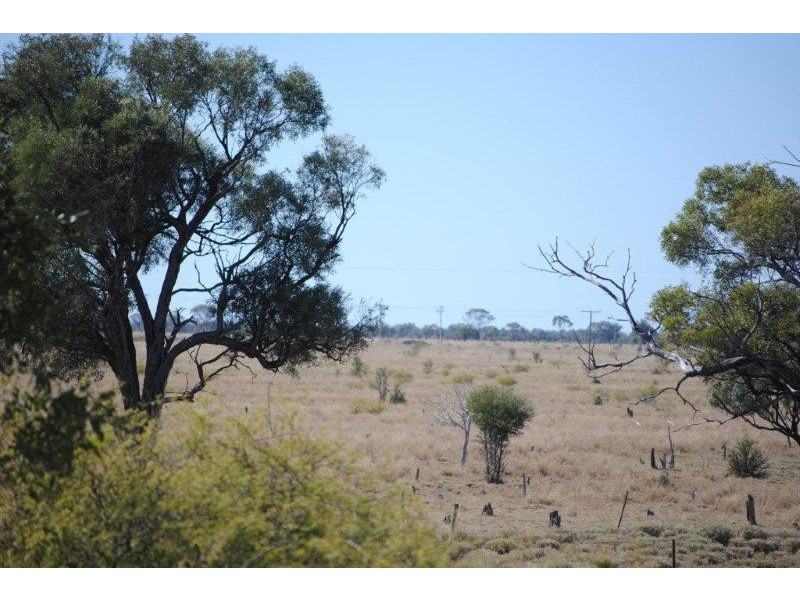 000 Landsborough Hwy, Barcaldine QLD 4725