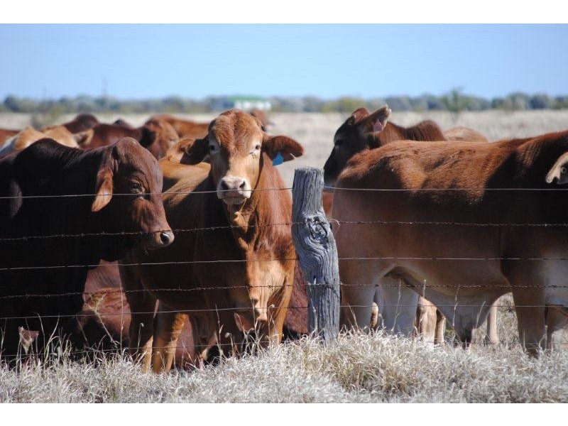 000 Landsborough Hwy, Barcaldine QLD 4725