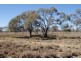 000 EVORA ROAD, Blackall QLD 4472